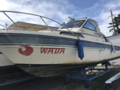 Ca nô máy dầu siêu to F26 dài 8m