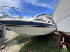 FR23 mới về bãi Anpha Boat