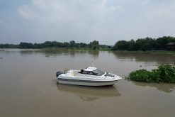 Tàu thuyền Nhật Model SR17, lắp máy 60hp