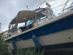 ( Đã bán )Cano Yamaha SRV22 Dài 7,5m, 1pn,1 toilet