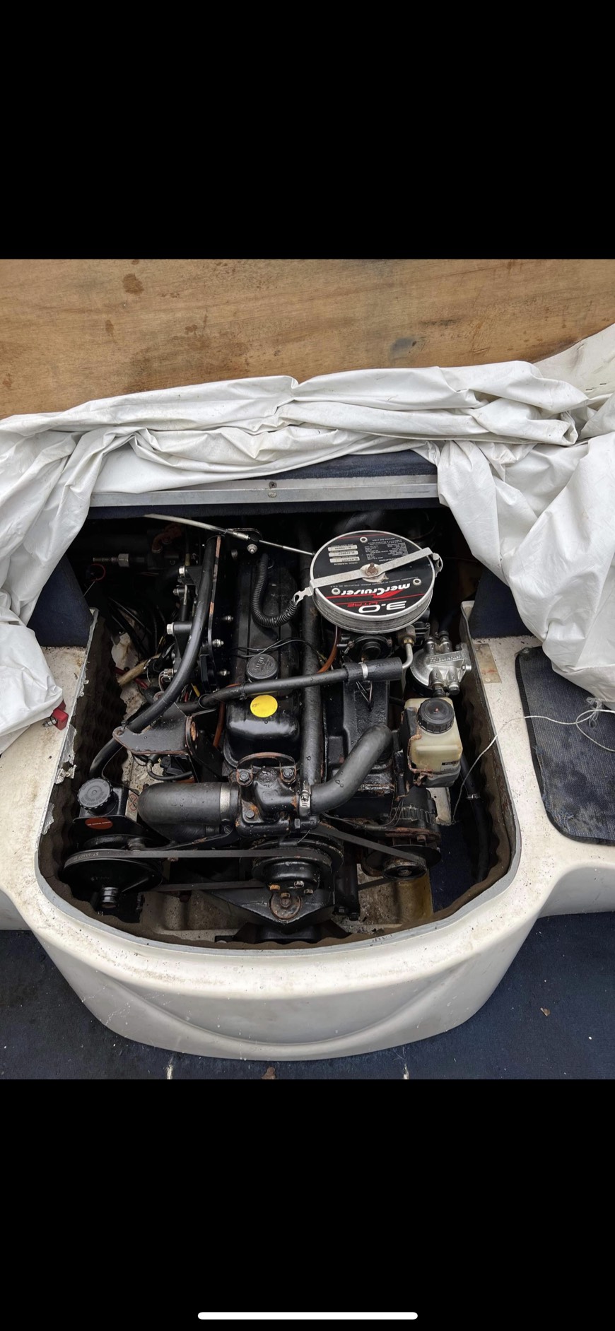 z3075573720038 32cd8bdce7abf6c1c702ea61ef66f04a Cano Searay 180 Mỹ nhập khẩu, chưa qua sử dụng tại VN